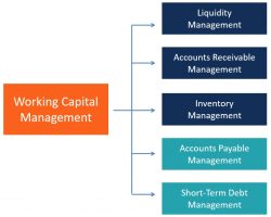 Capital Investment Strategies | Delaena Kalevor