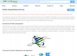 ubiquitination assay Protein Ubiquitination Services Protein Ubiquitination Ubiquitin services