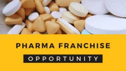 Zedip Formulations – Best Pcd Pharma Franchise Company in Ahmedabad