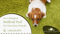 Get a Low Maintenance Synthetic Turf!