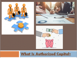 Authorized Capital Or Shares | Franklin I. Ogele