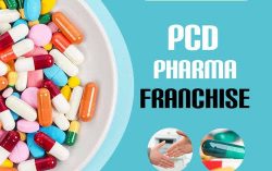 Zedip Formulations – Leading PCD Pharma Company in Ahmedabad