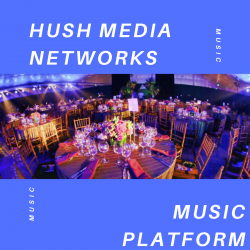 Best Music Platform In USA