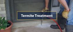 Tips in Hiring Termite Control Melbourne Company