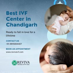 Best IVF Center in Chandigarh