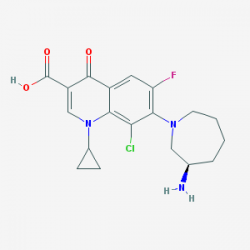 besifloxacin