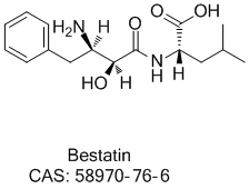 bestatin