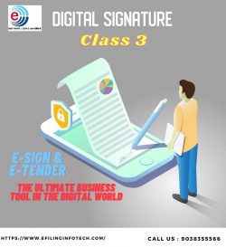 DSC signature certificate India