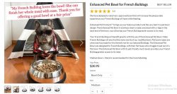 French bulldog bowl