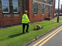 Grounds Maintenance