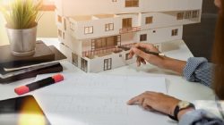 Expert Business Developer – Bernard McGowan