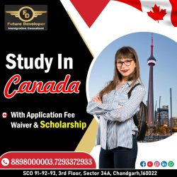 Study In Canada