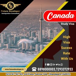 Study In Canada. ? For High, Visa Success Rate Call Us.