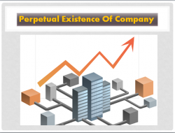 Perpetual Existence Of Company | Franklin I. Ogele