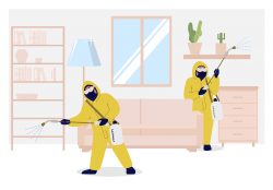 Pest Control Maple Ridge