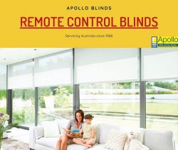 Remote Control Blinds