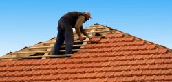 Regina Roofer