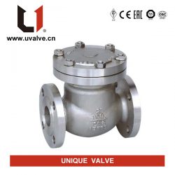 Stainless Steel Check Valve