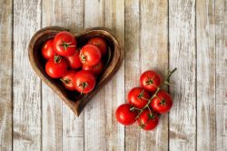 GROWING TOMATOES FROM PLANTING TO HARVEST