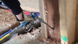 Top Termites Control Service Near Melbourne