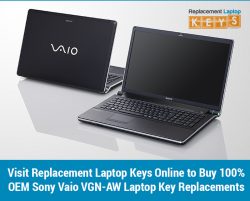 Visit Replacement Laptop Keys Online to Buy 100% OEM Sony Vaio VGN-AW Laptop Key Replacements