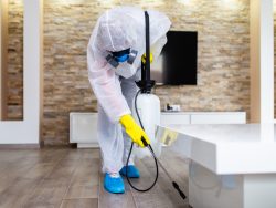 Where can I get affordable Pest control service in Melbourne