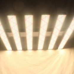 best led grow lights