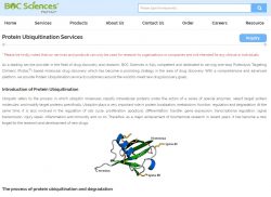 ubiquitin conjugation pathway