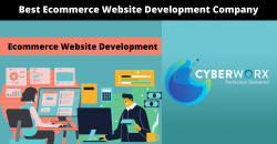 Best Ecommerce Website Development Company