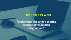 Pel Softlabs Pvt ltd – Software Services