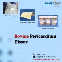 Bovine Pericardium Tissue