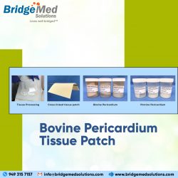 Bovine Pericardium Tissue Patch