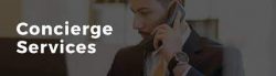 Get The Best Real Estate Services From Bryan Provenzano