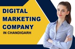 Digital Marketing Company In Chandigarh