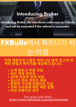 FXBulls에서 파트너가 되는 이점