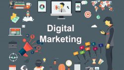 Bridge City Firm – Best Digital Marketing Services