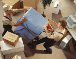 Searching for movers for hire Cape Town