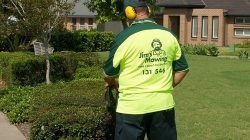 Lawn Mowing Wattle Glen