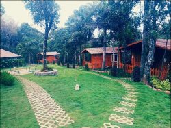 Homestays in Sakleshpur | wildvalley.in