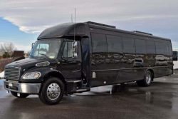 Mini Bus Rental