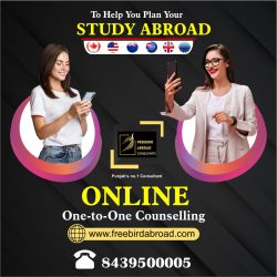 Get Online Counselling, for Study Abroad