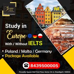 Study Abroad With / Without IELTS