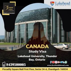 Study In Canada