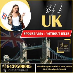 Apply UK Study Visa for Upcoming Intakes