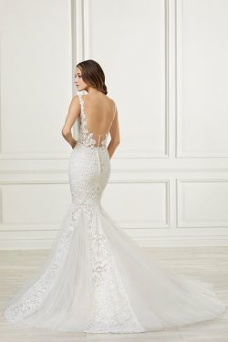 Adrianna Papell Beautiful All Over Lace Gown