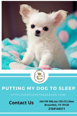 Putting My Dog To Sleep – Gentle Pet Passages