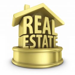 Real Estate Expert- Cindy Ughanze