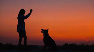 Organization of Hope | Provide Social Well-Being To Humans And Animals