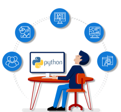 Top & Award-Winning Python Web Development Company In The USA