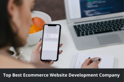 Top Ecommerce Website Development Company